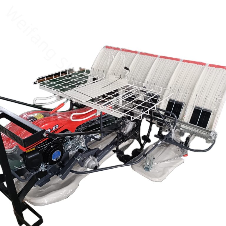 IMG20240327160225_副本_副本