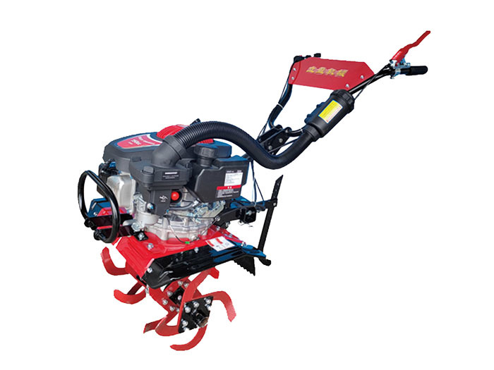 187ba6d4-09bf-4f95-ac8a-9c35475cce8d